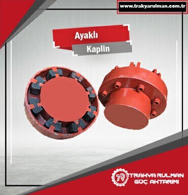 Ayaklı Kaplin İstanbul